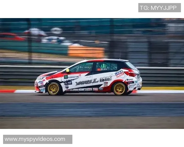 武汉羽毛球队征战洲际杯的拼搏历程与荣耀时刻回顾