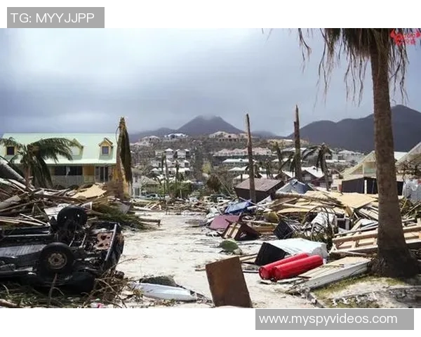 飓风来袭中的防卫与正义之辩:人性与自然的较量与思考 飓风来袭中的防卫与正义之辩:人性与自然的较量与思考