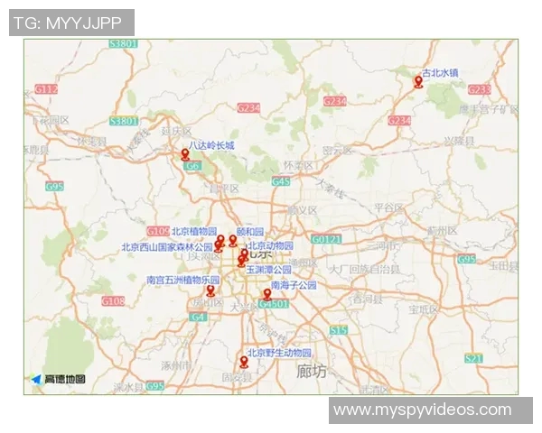 北京街舞队整体表现分析:压制与失误的双重影响探讨 北京街舞队整体表现分析:压制与失误的双重影响探讨