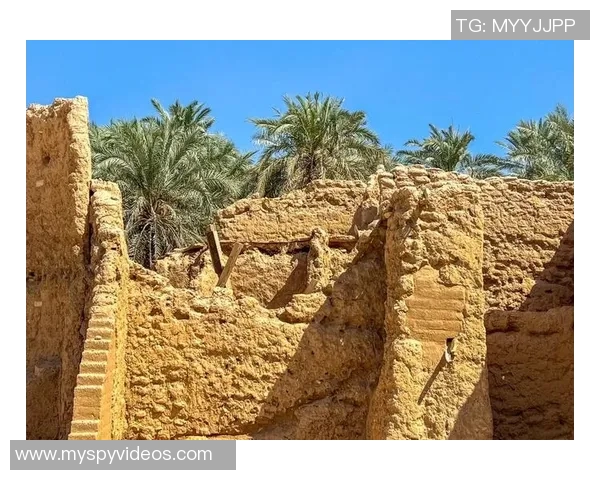 探索阿拉巴的独特魅力与文化遗产，感受这片土地的历史与现代交融之美