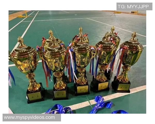 羽毛球战术排行榜揭晓成都羽毛球队荣获第七名佳绩