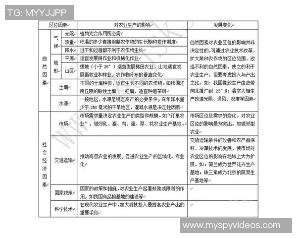 北京网球队灵活性表现分析及其对比赛策略的影响探讨
