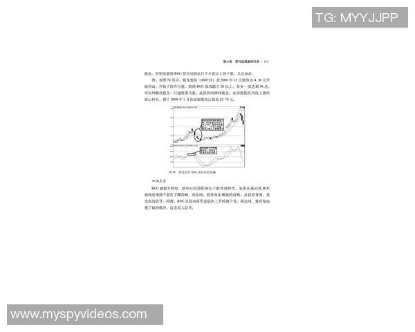 从零基础到高手之路网球配合技巧全解析与实战指南